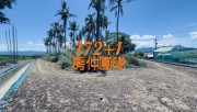 房屋搜尋結果-台灣房屋嘉義湖子內特許加盟店 中埔富裕路椰子樹農地